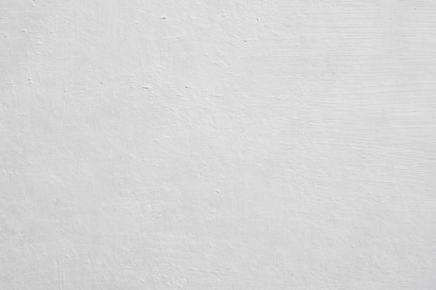 Tremont, PA Mold Removal Company