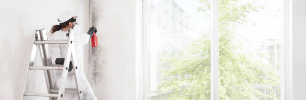Best Comprehensive Air Testing for Mold Contaminants  in Tremont, PA