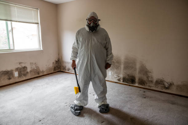 Best Post-Construction Mold Inspection  in Tremont, PA